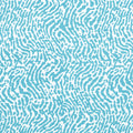 ST. CROIX - Turquoise