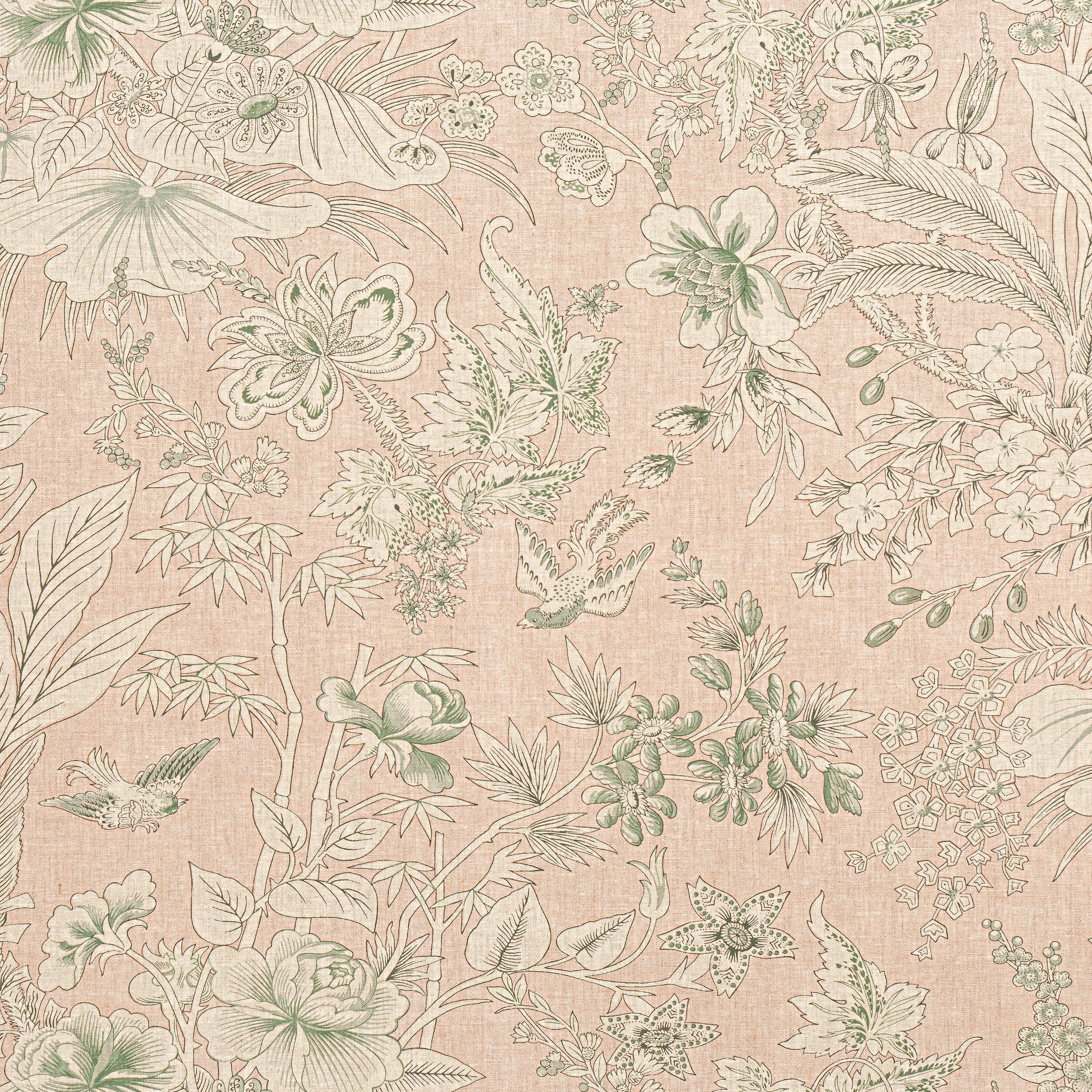 ROSALIND - Blush