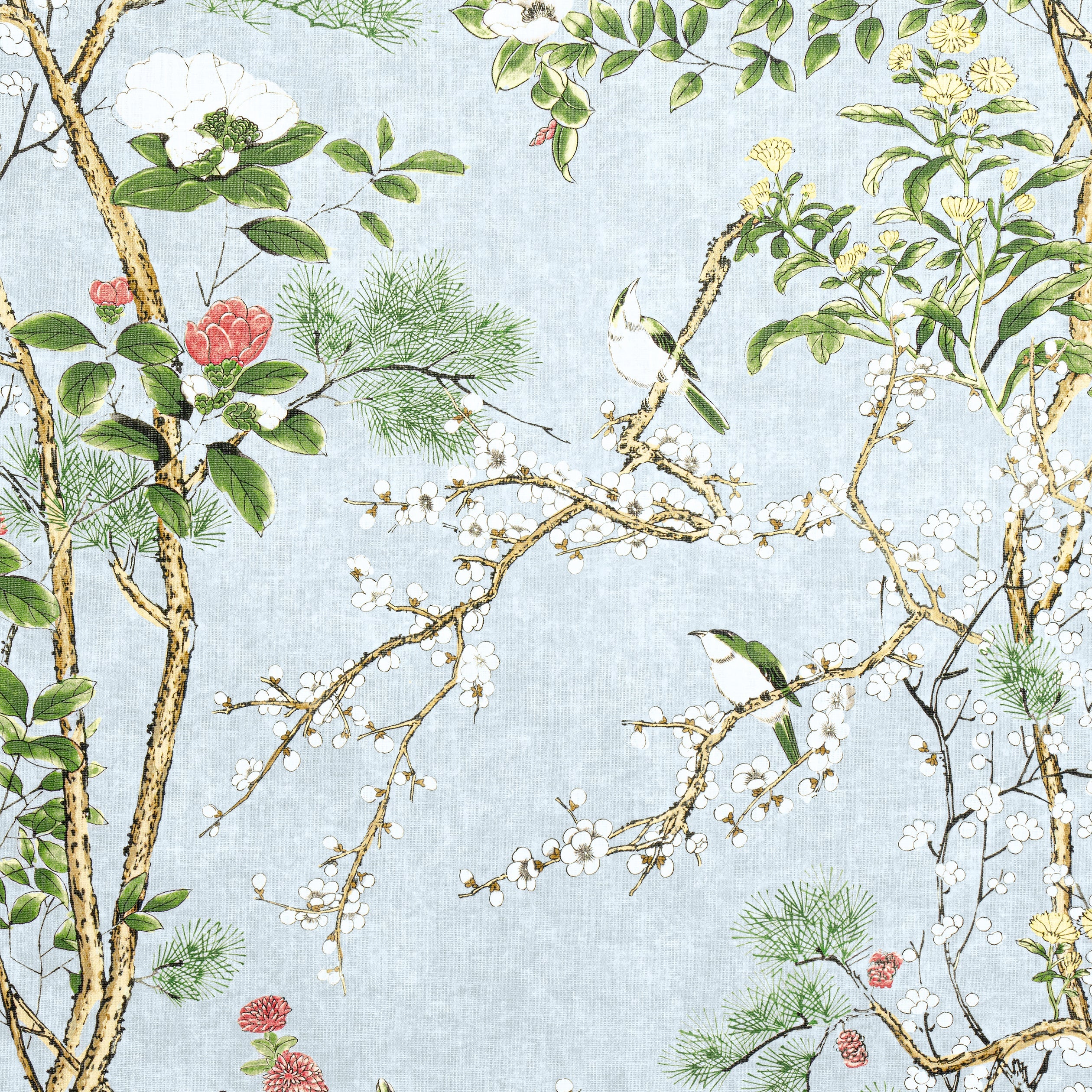 KATSURA - Spa Blue