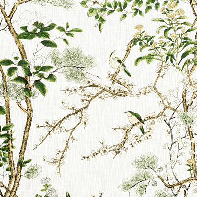 KATSURA - Green and White