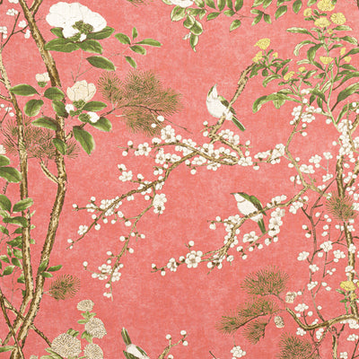 KATSURA - Coral