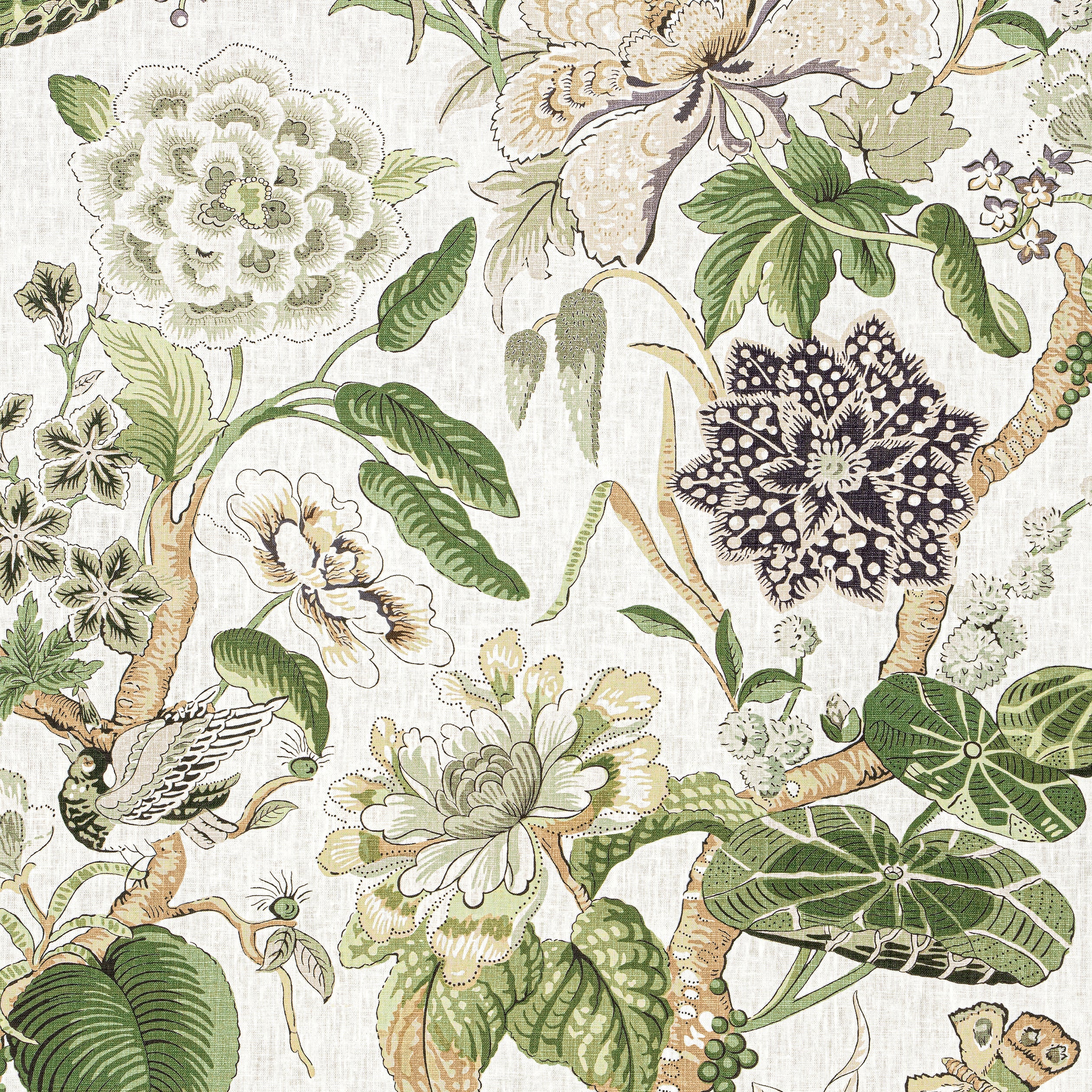 HILL GARDEN - White and Green