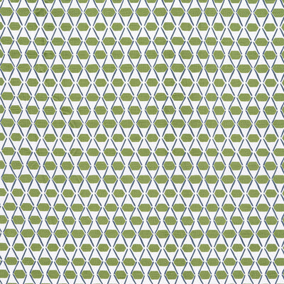 DENVER - Green and Blue
