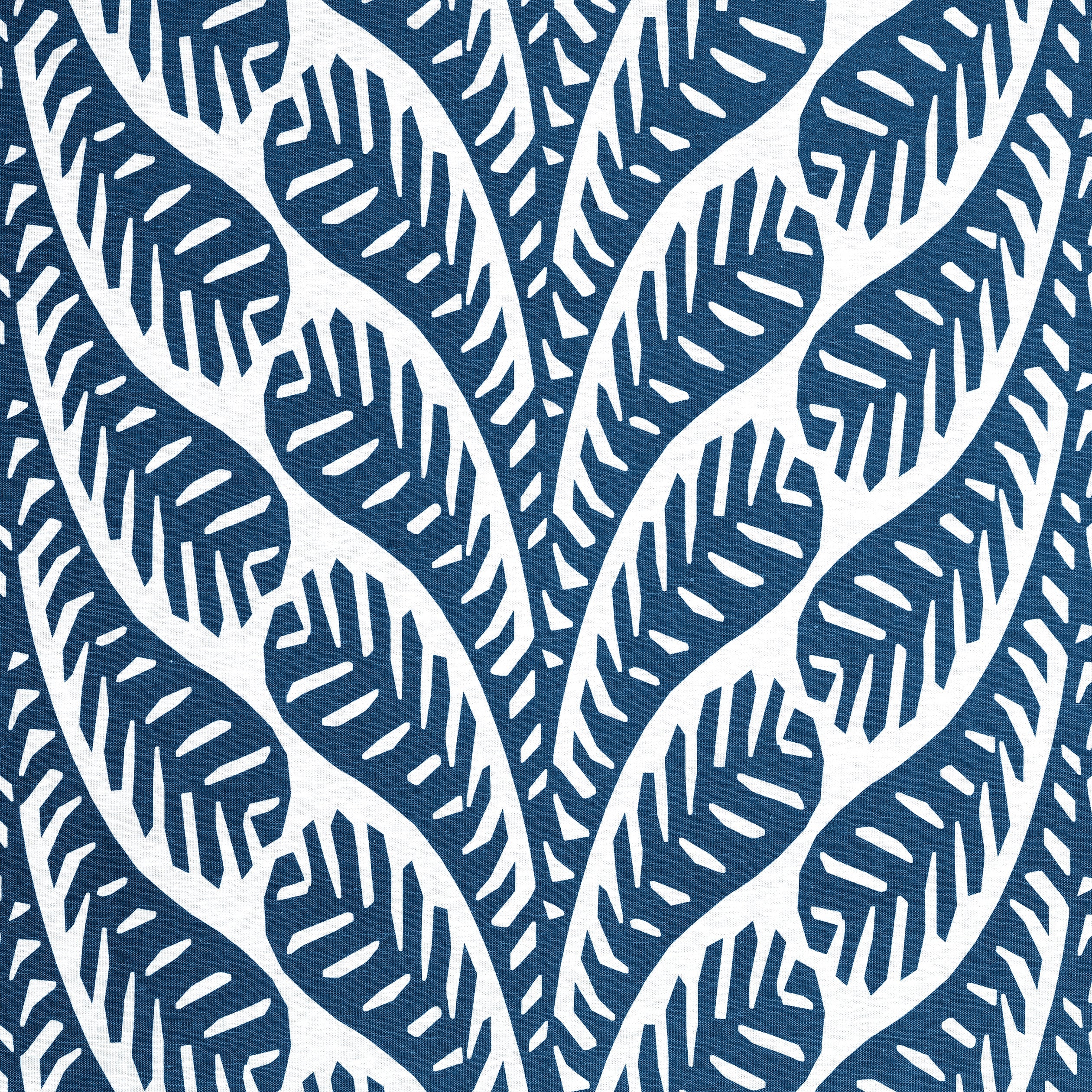 GINGER - Navy