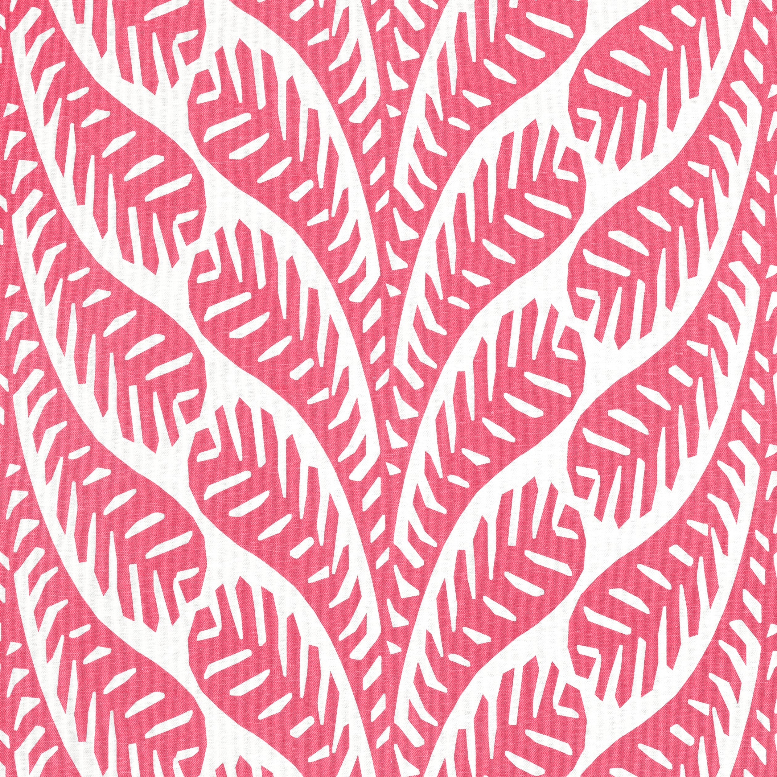 GINGER - Pink