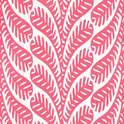 GINGER - Pink