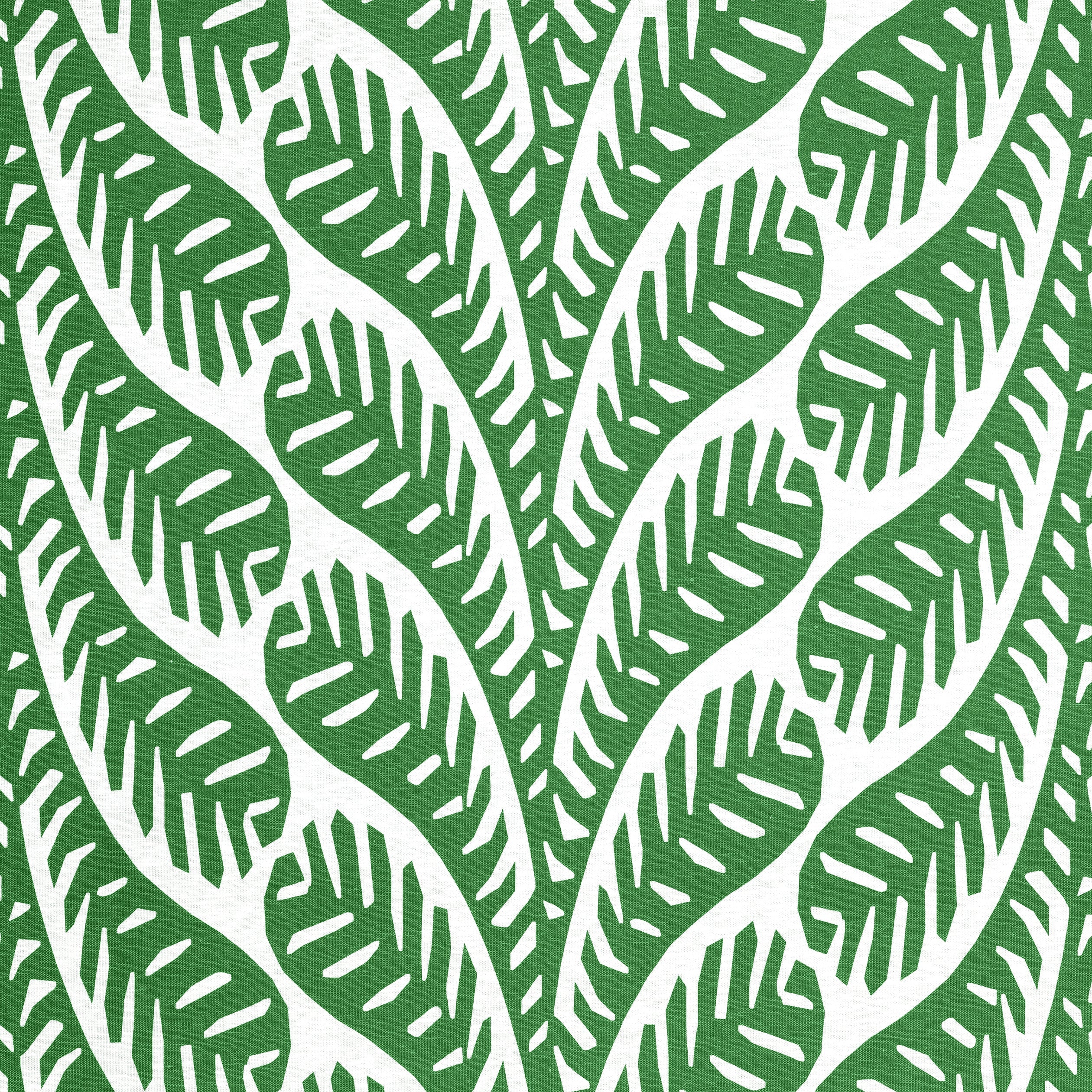 GINGER - Emerald