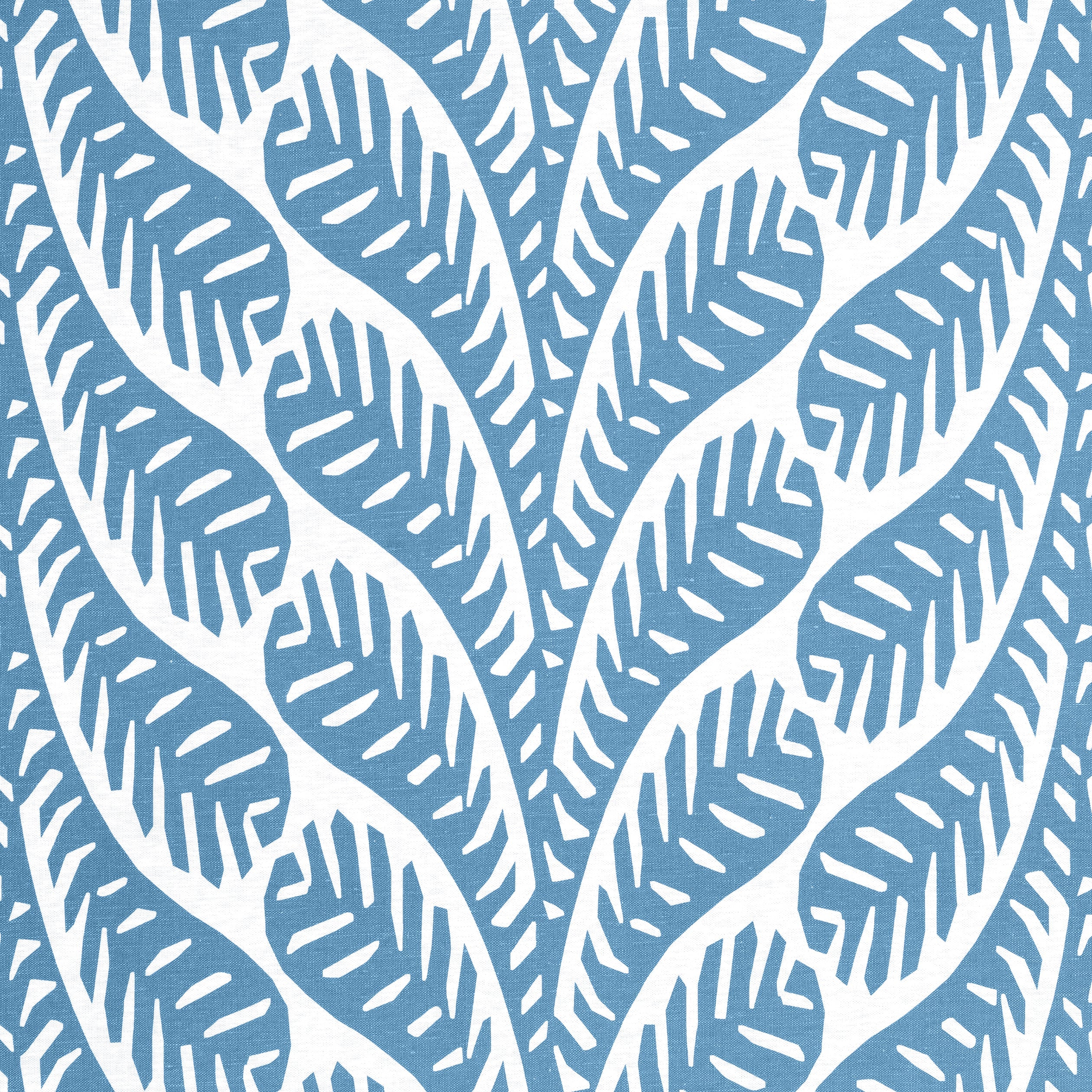 GINGER - Blue