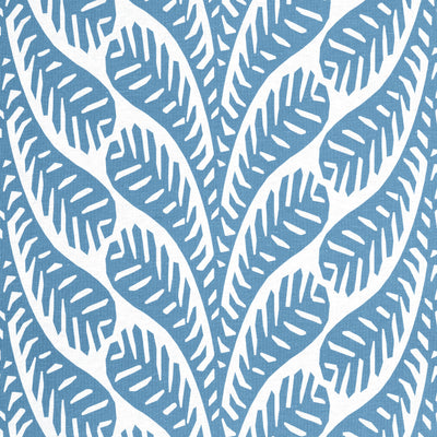 GINGER - Blue