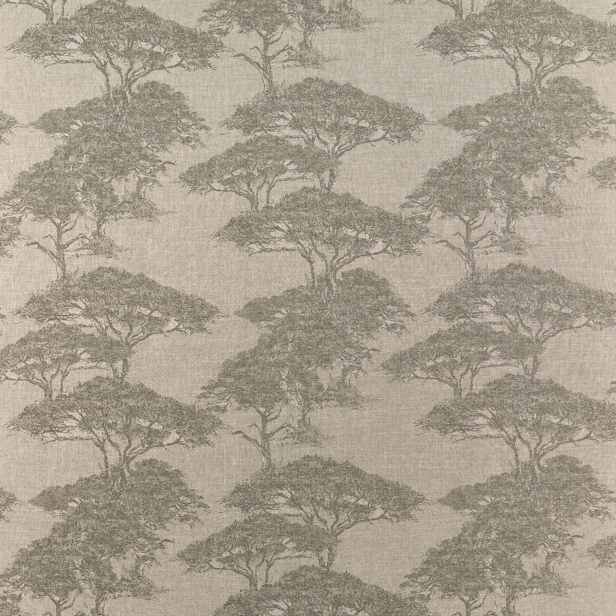 TORREY PINES - Beige and Black