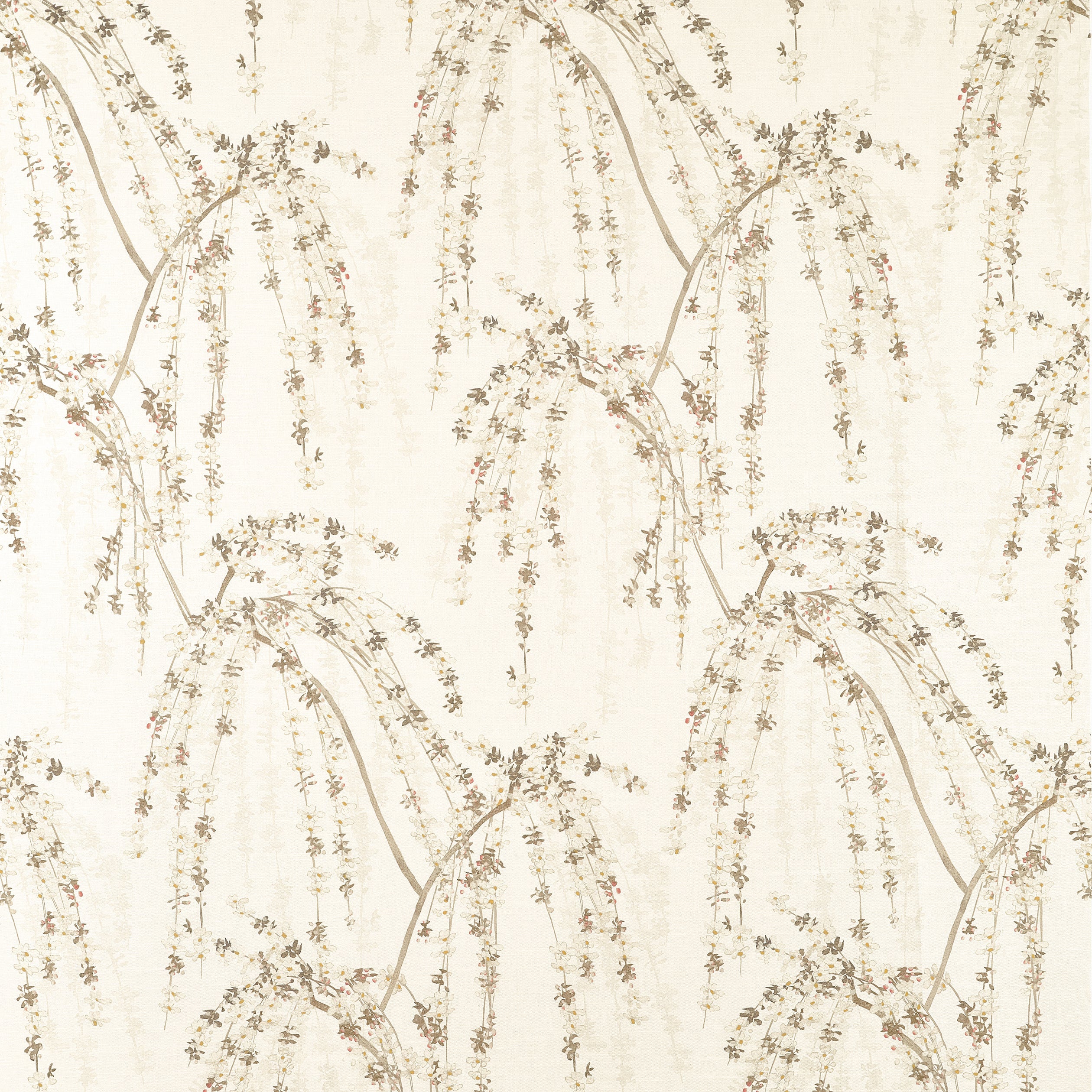 WEEPING BLOSSOM - White