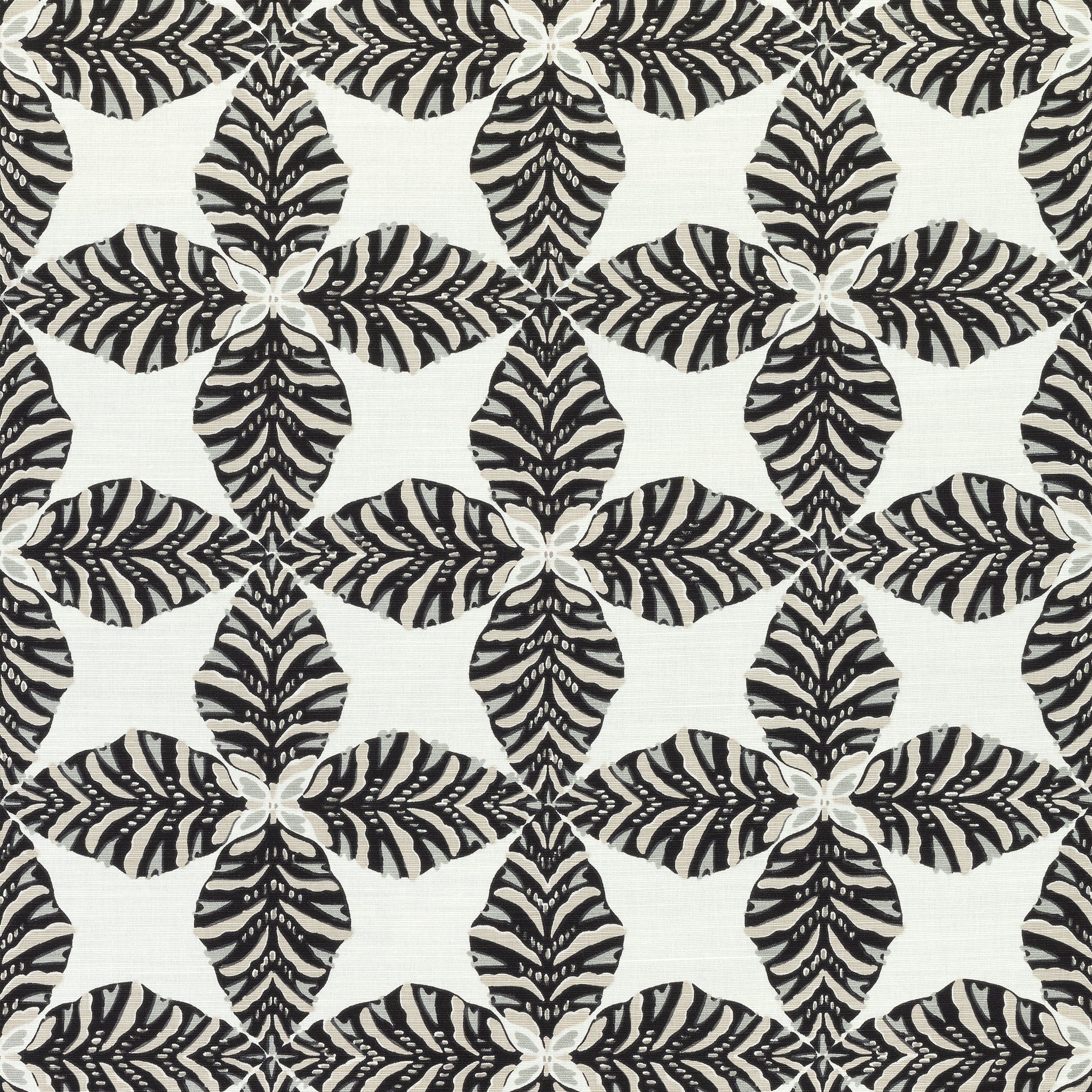 STARLEAF - Black