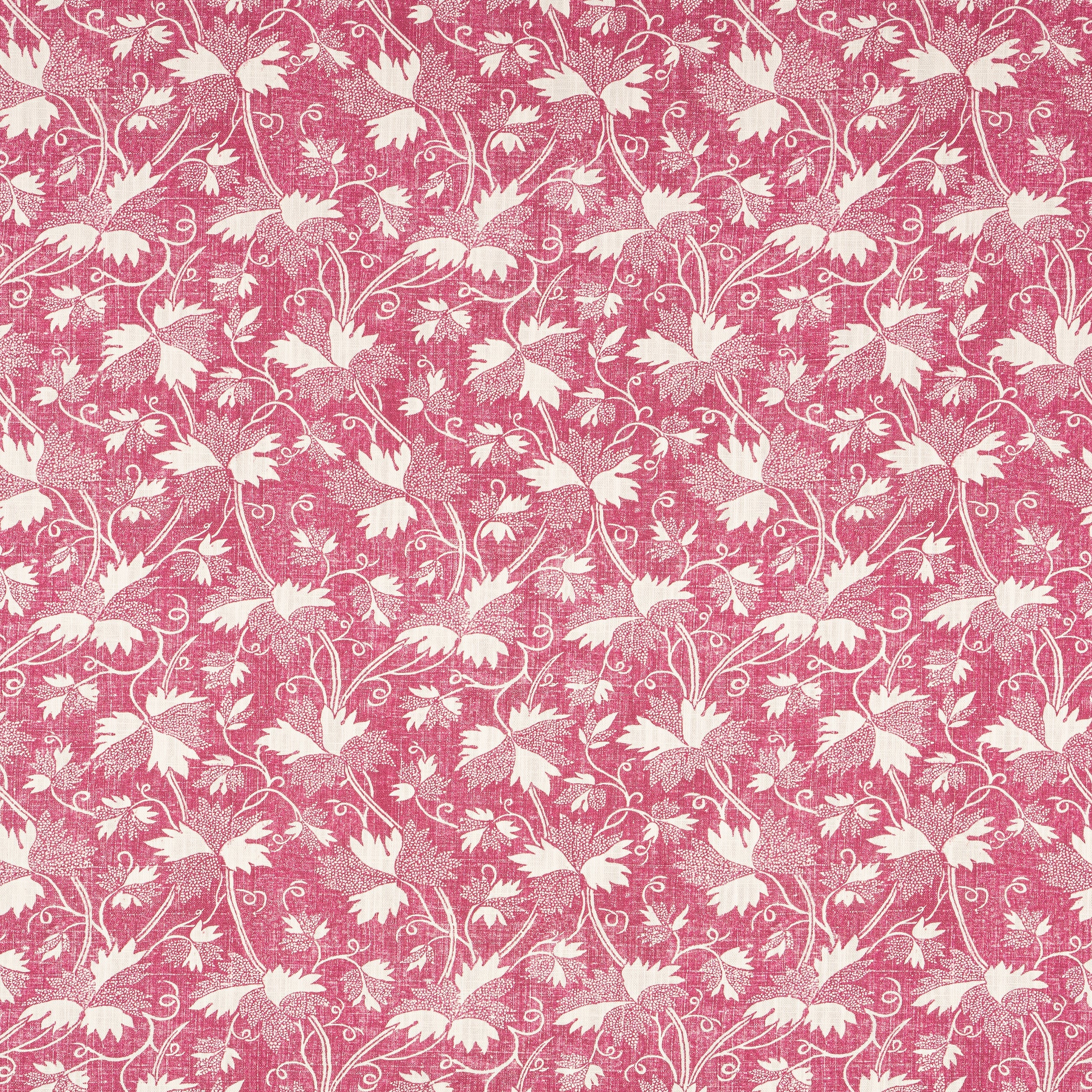 CHESTER - Raspberry