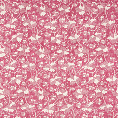 CHESTER - Raspberry