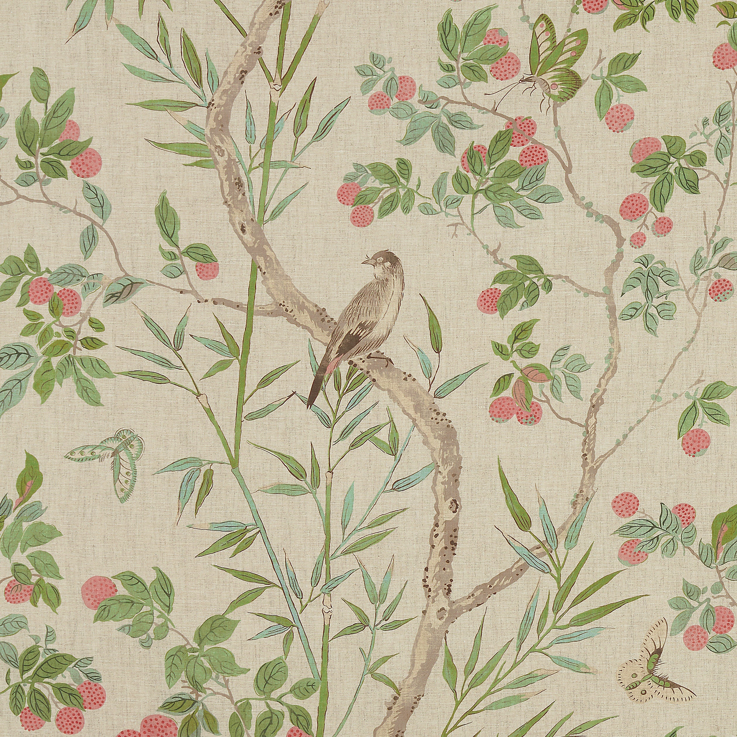 CLAIRE - Coral and Green