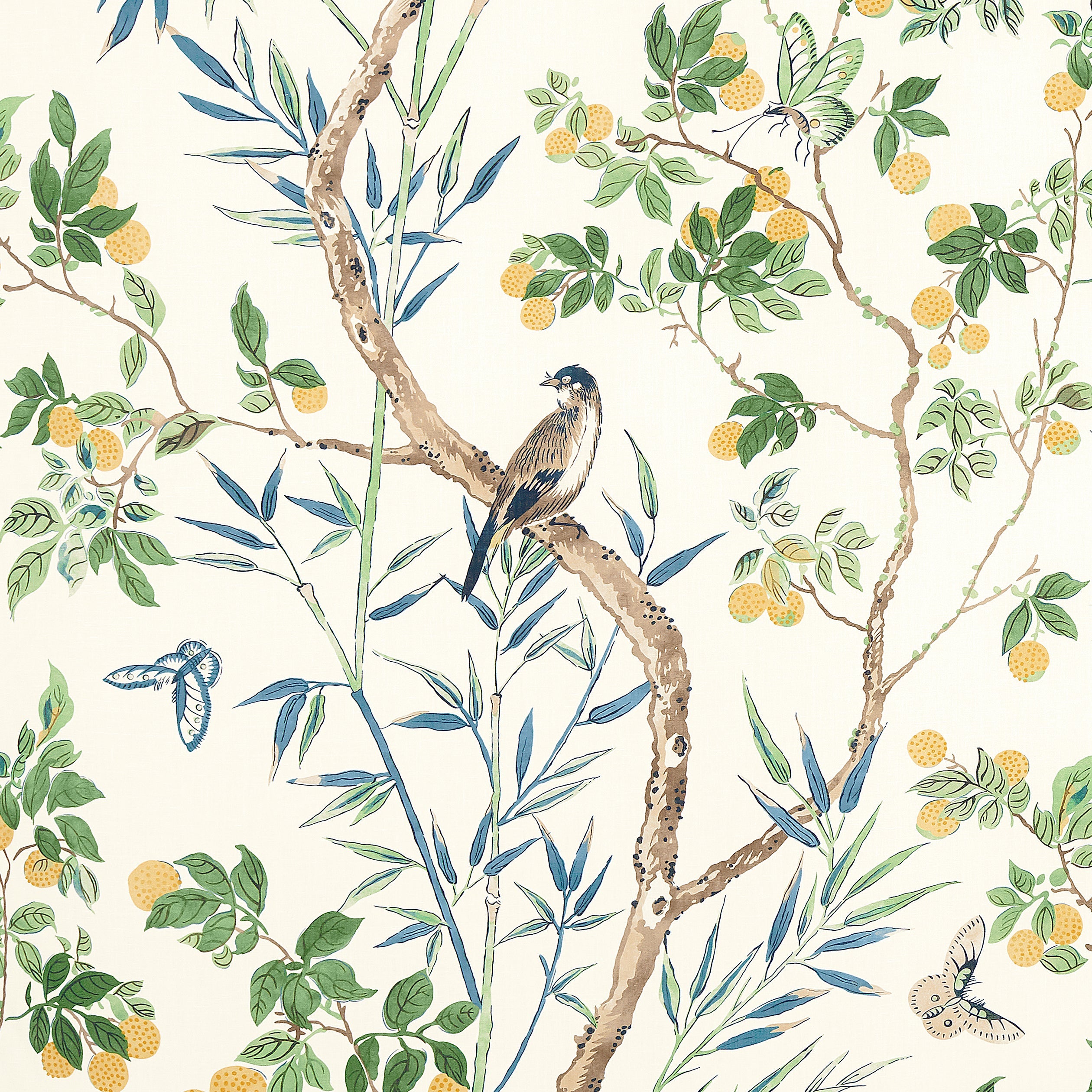 CLAIRE - Yellow and Navy