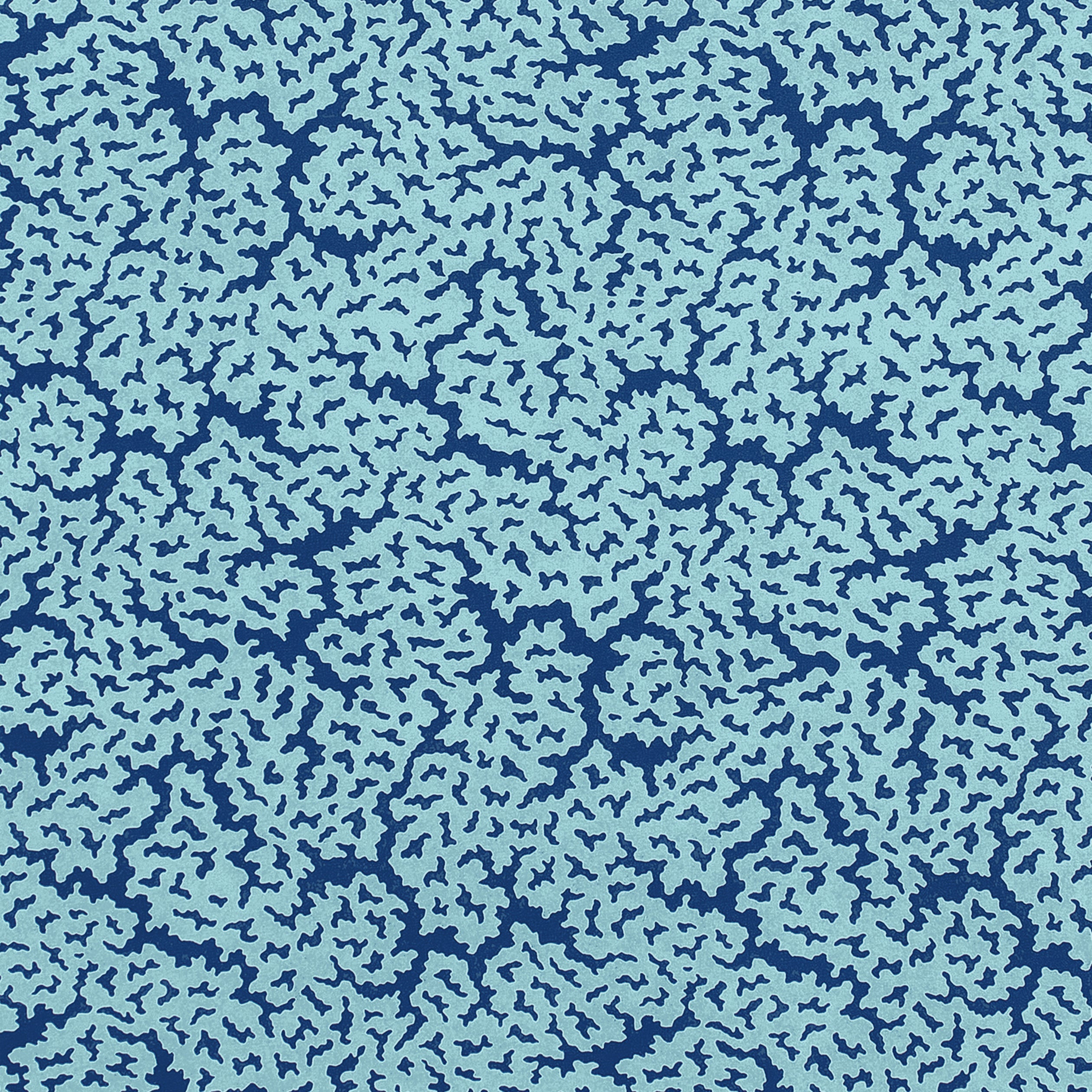 MALDIVES - Navy