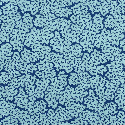 MALDIVES - Navy