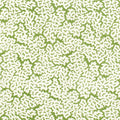 MALDIVES - Green