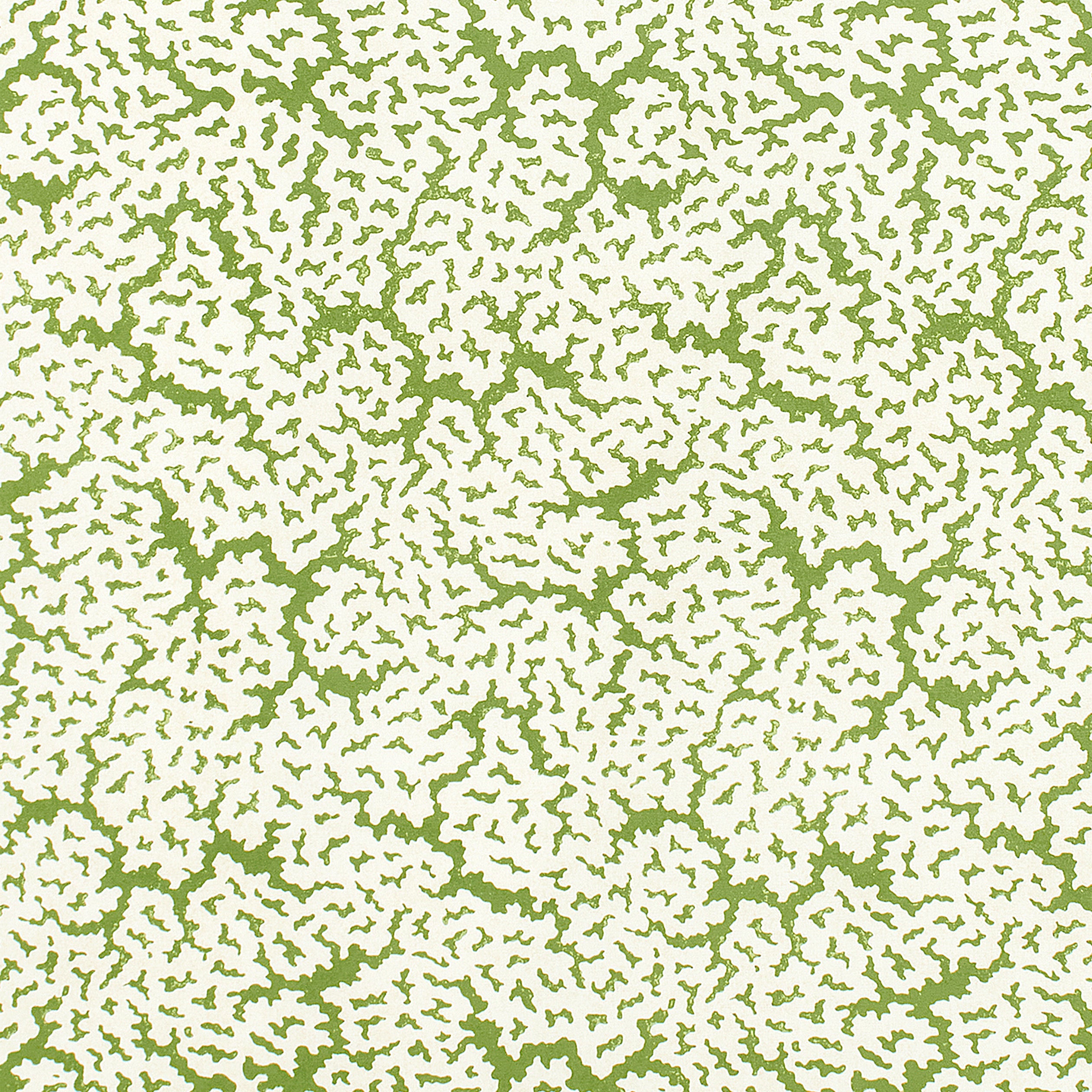 MALDIVES - Green