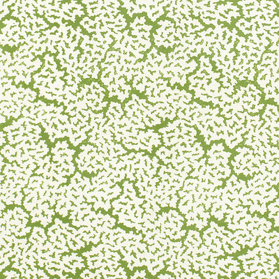 MALDIVES - Green