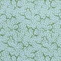 MALDIVES - Blue and Green