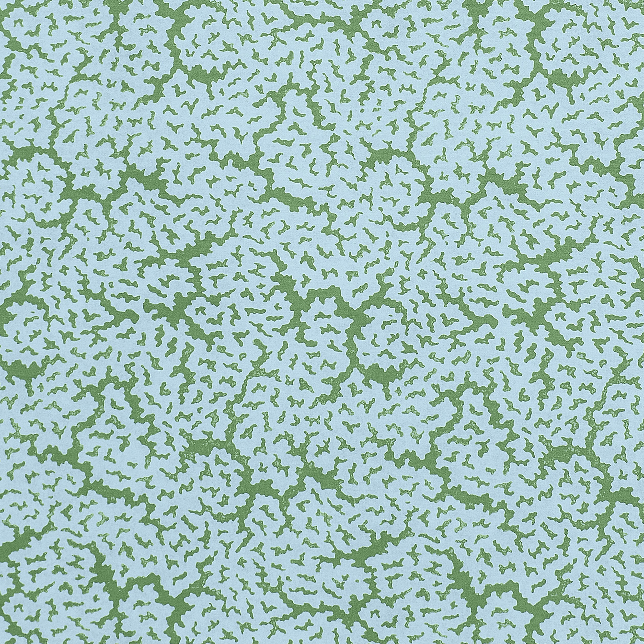 MALDIVES - Blue and Green
