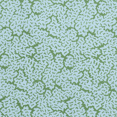 MALDIVES - Blue and Green