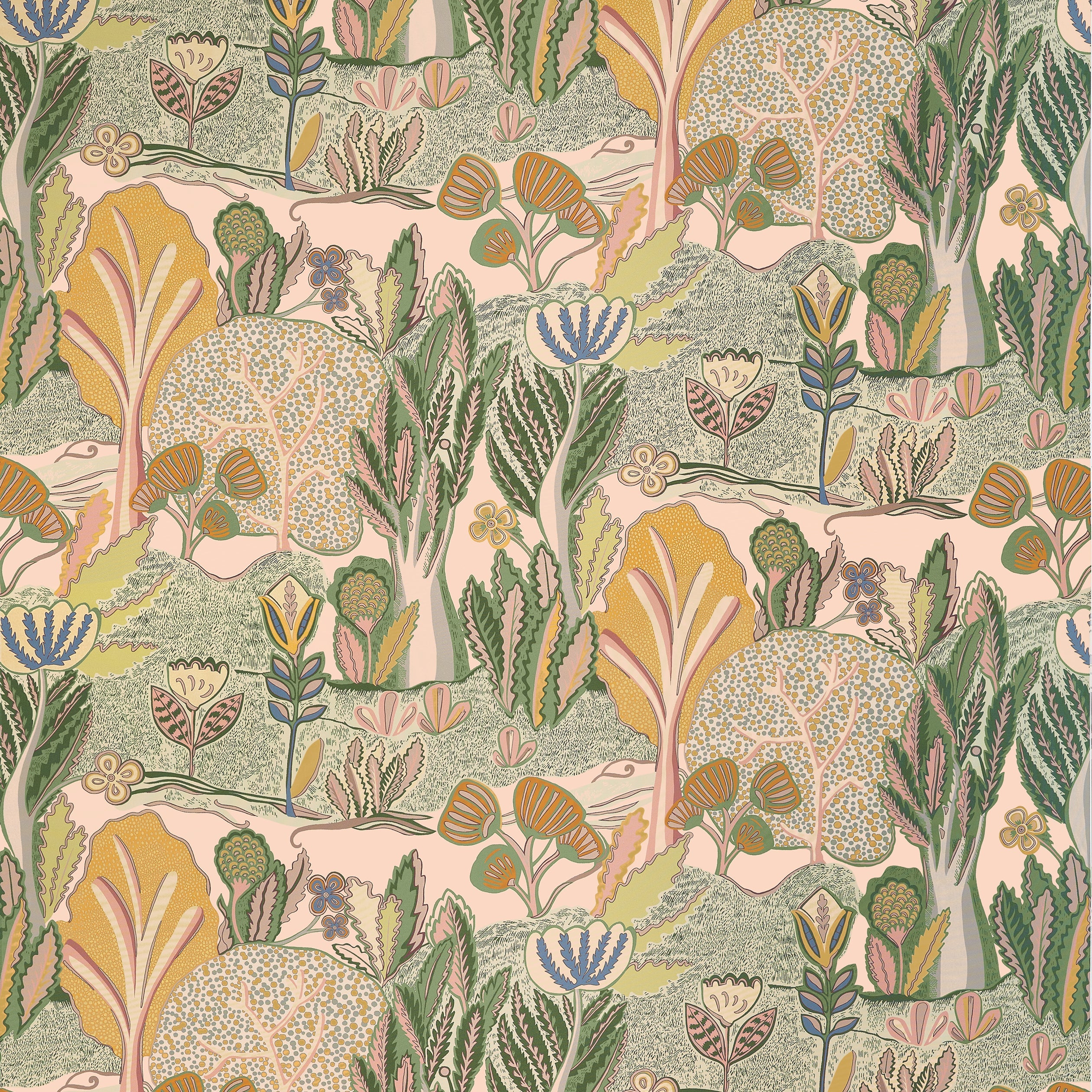 ALBERO - Apricot and Ginger
