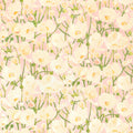 TIVOLI - Seashell Pink