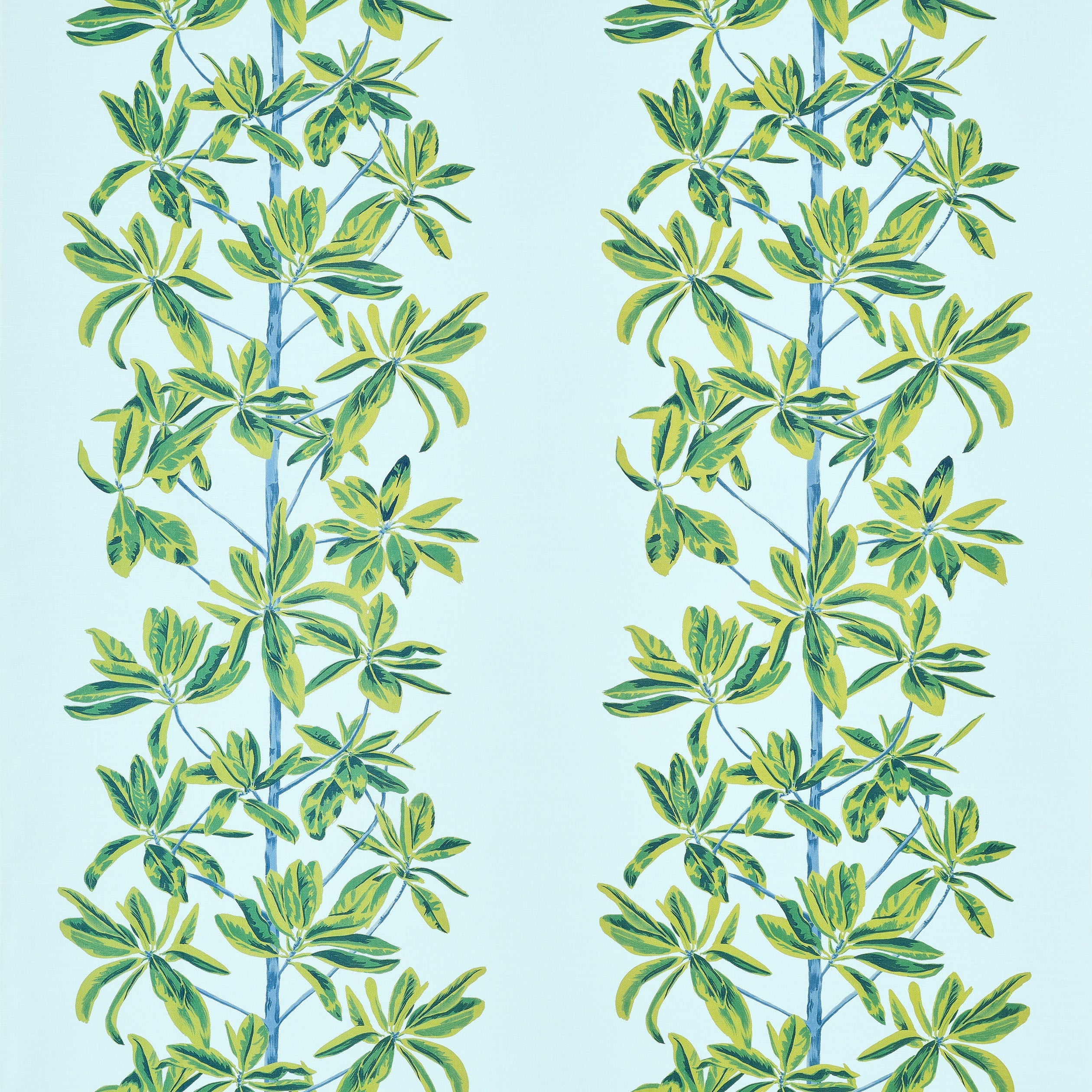 MANGROVE TREE - Turquoise