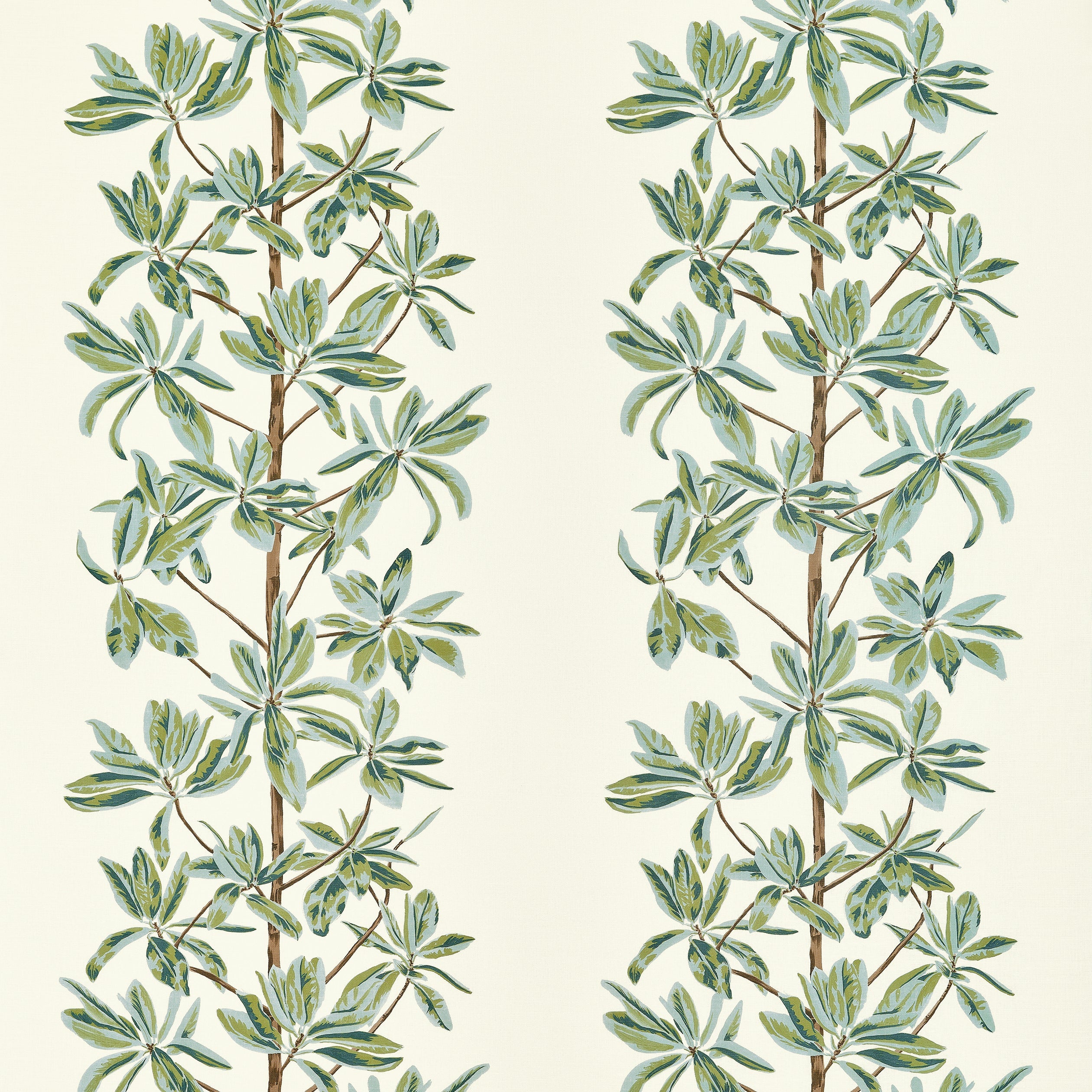 MANGROVE TREE - Sage