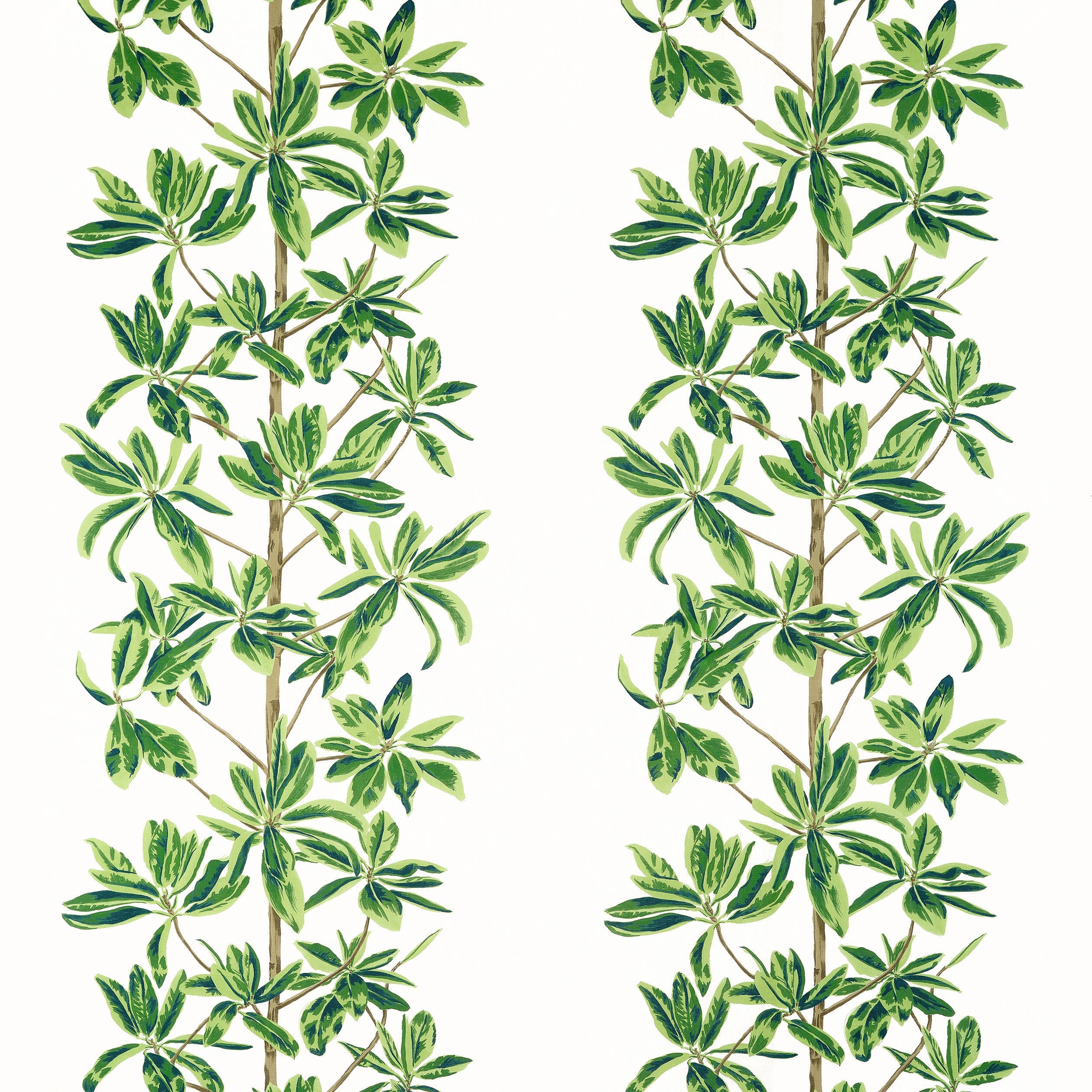 MANGROVE TREE - Green and White