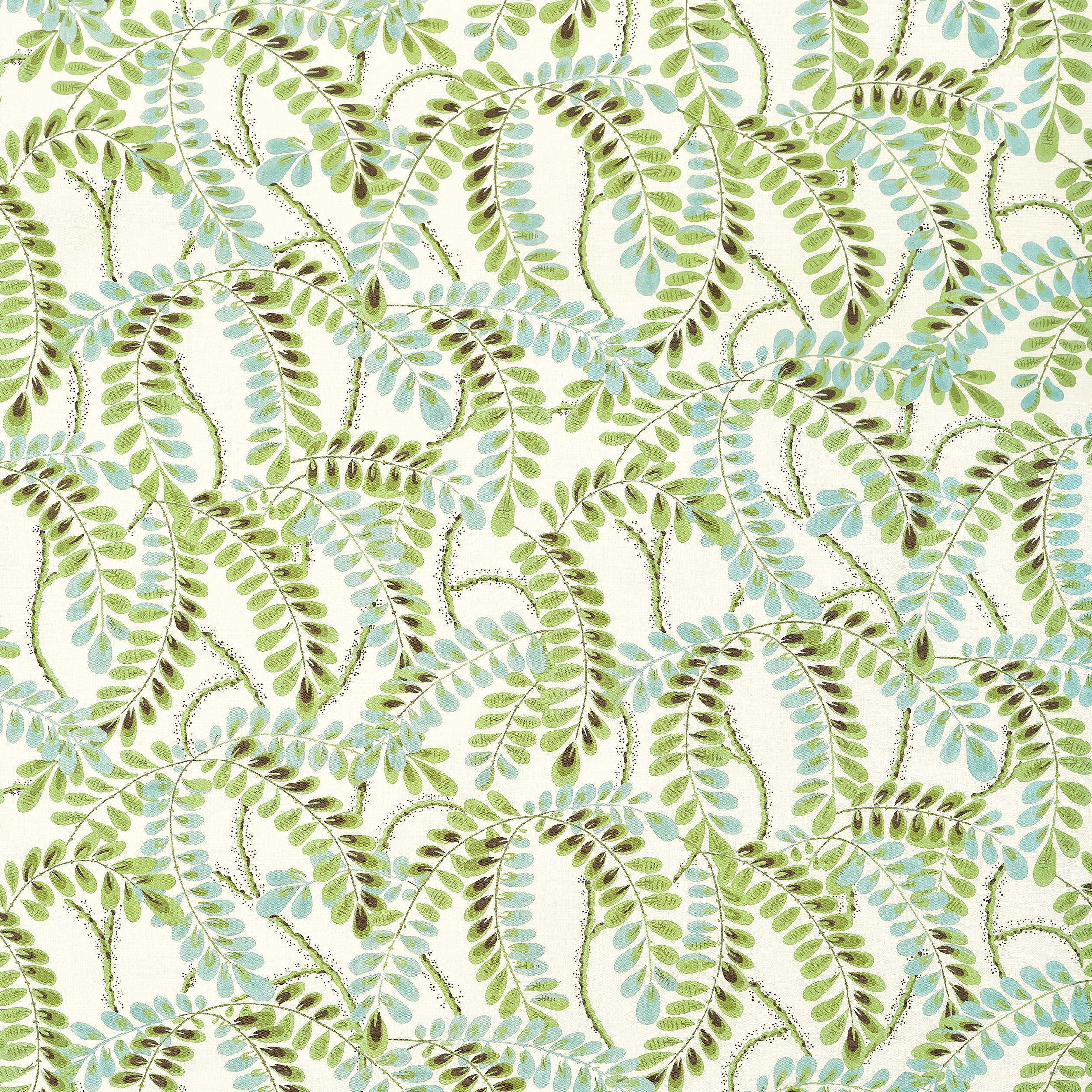 AUGUSTA - Sage
