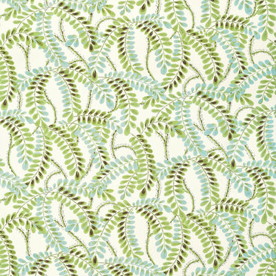 AUGUSTA - Sage