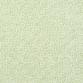 LAOS - Spring Green