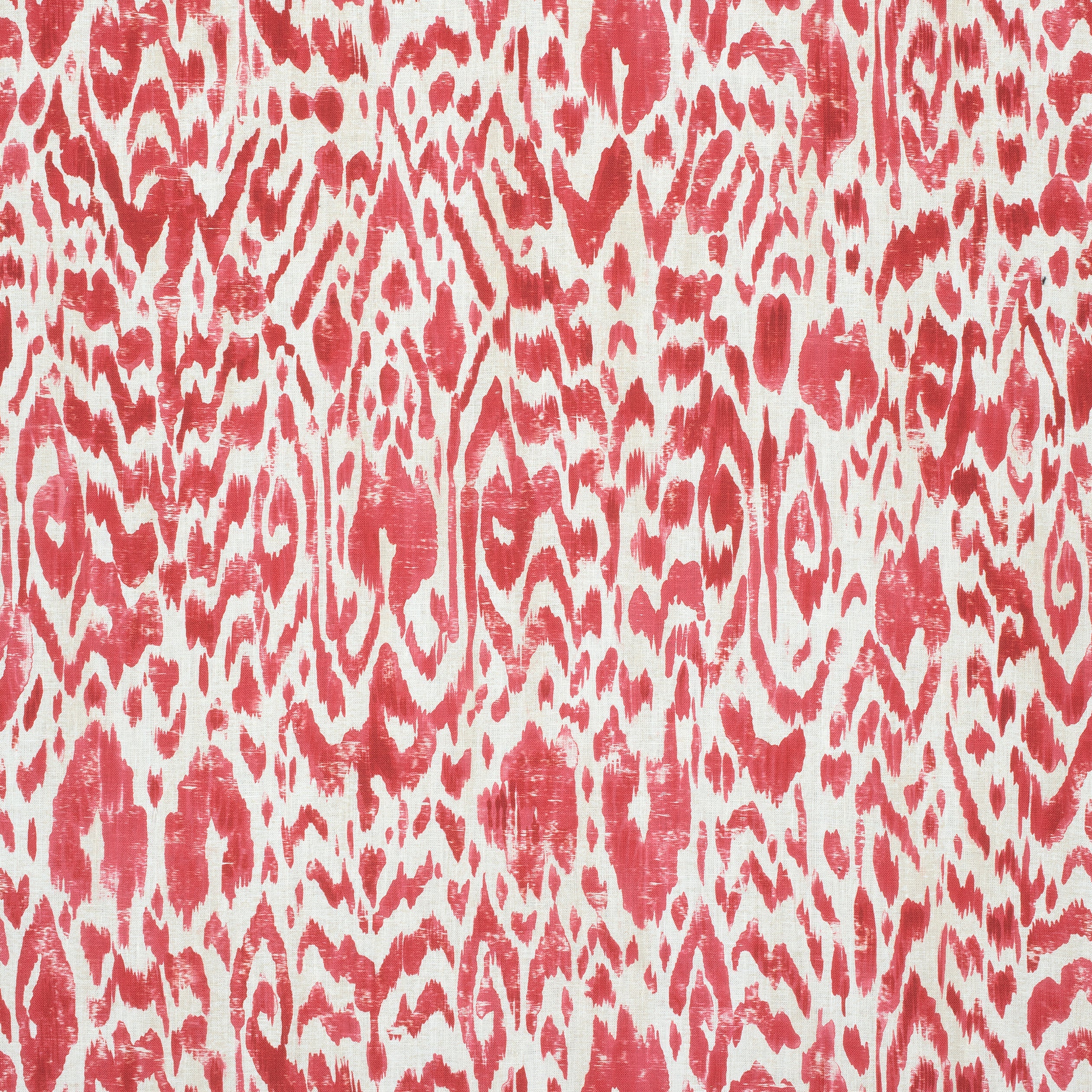 CARLOTTA - Coral