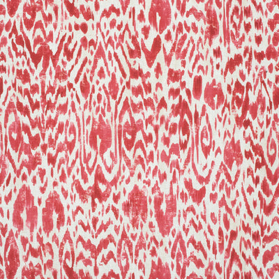CARLOTTA - Coral