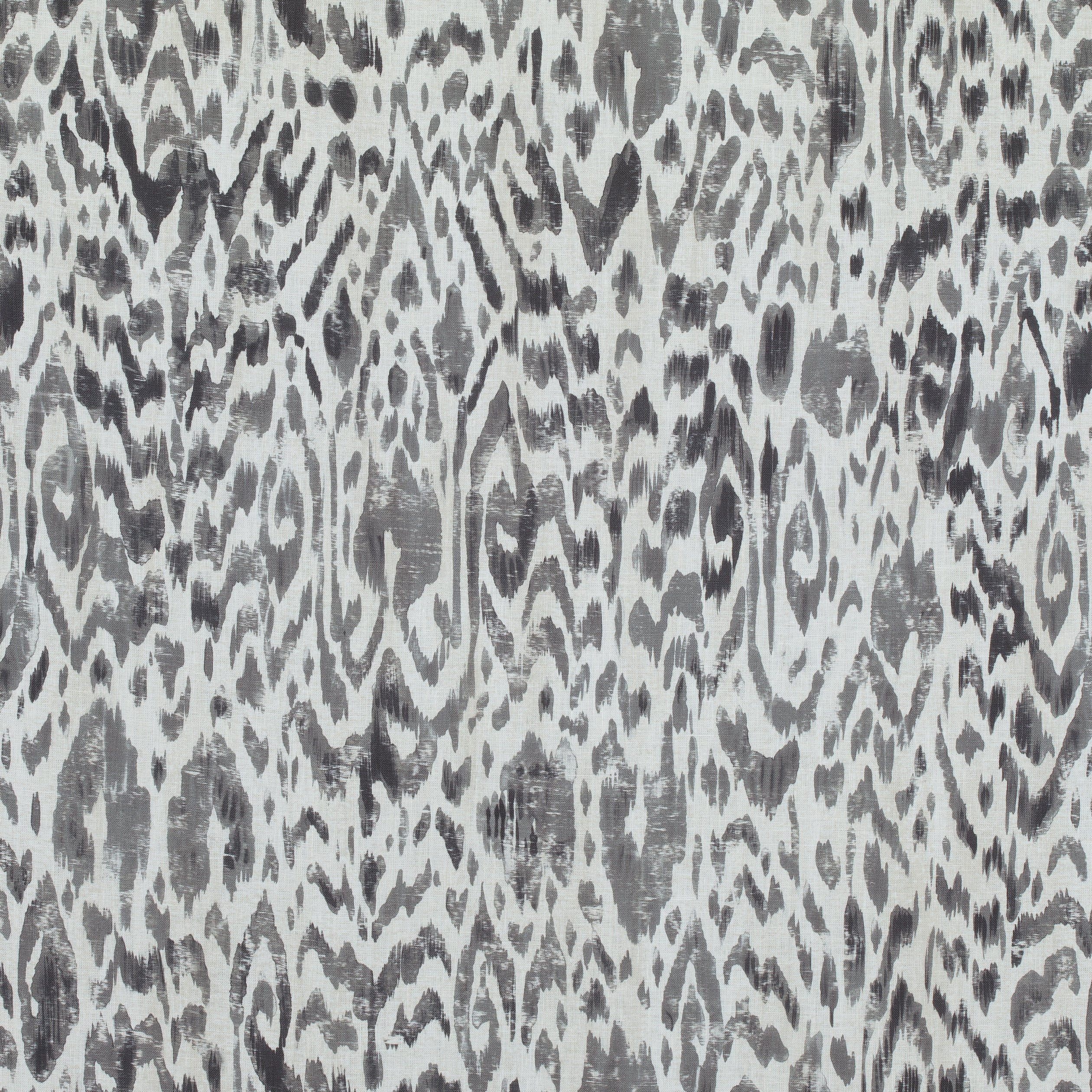 CARLOTTA - Charcoal