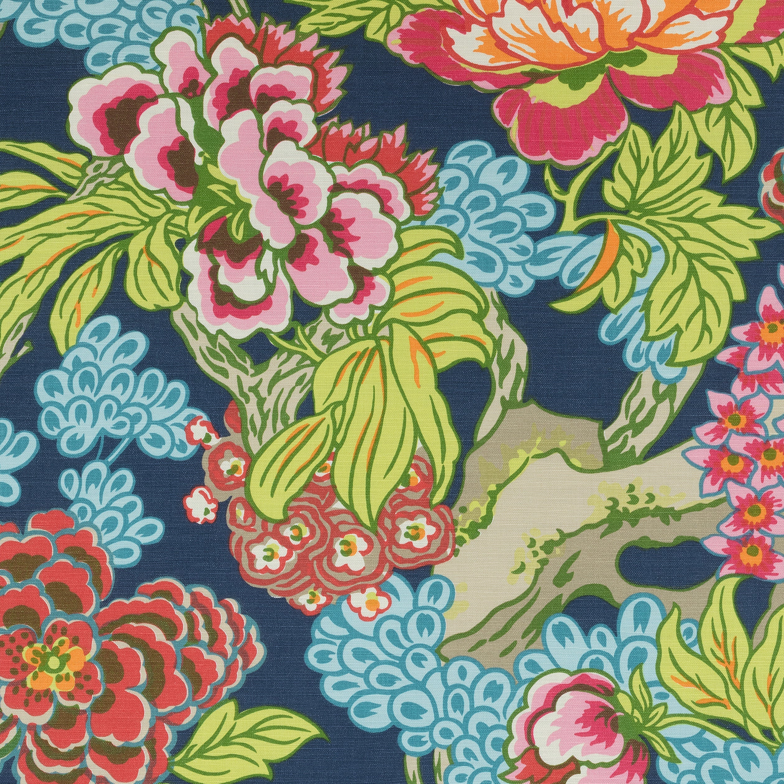 HONSHU - Navy