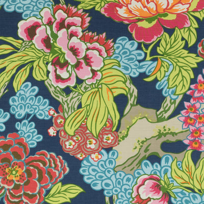HONSHU - Navy