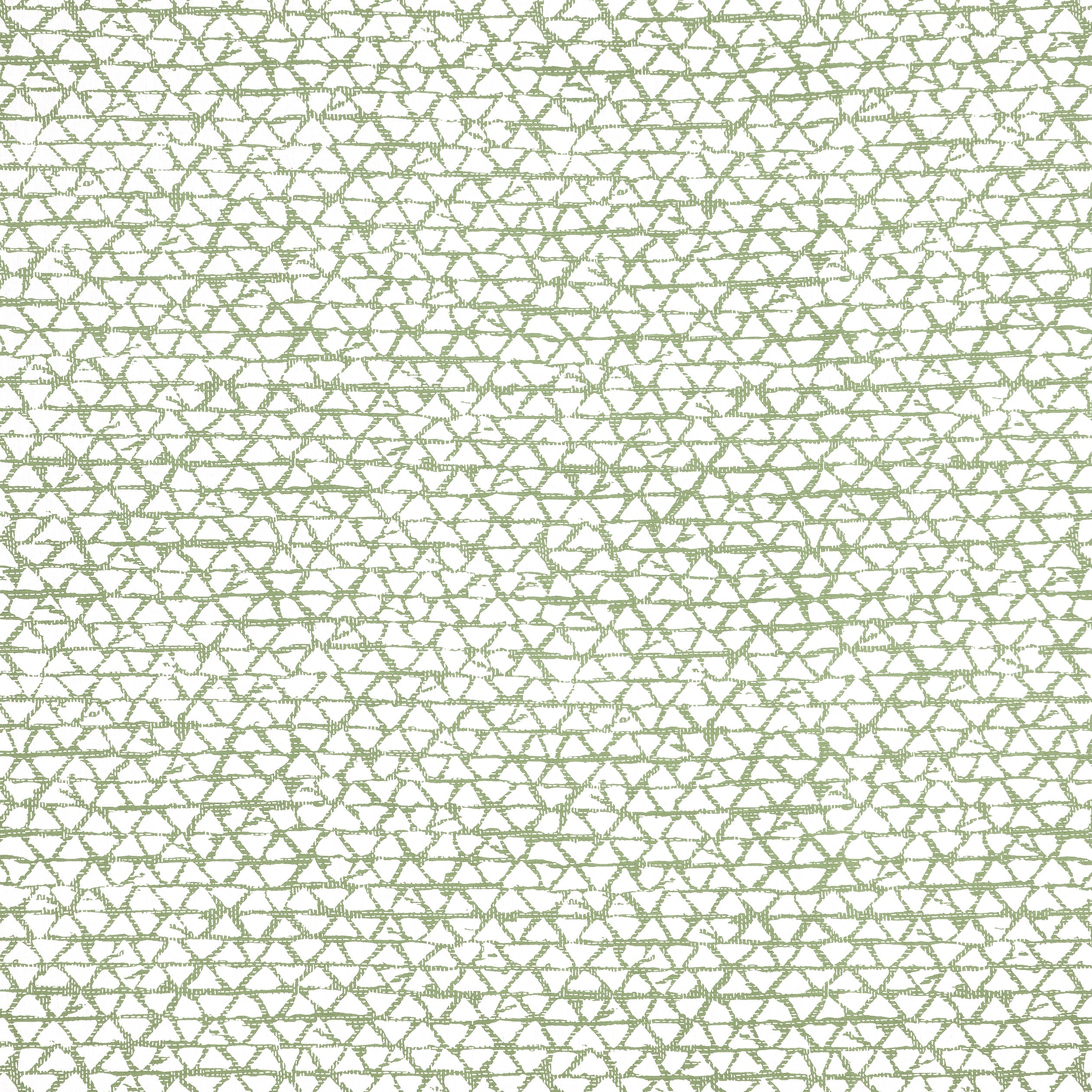 MALUKU - Spruce