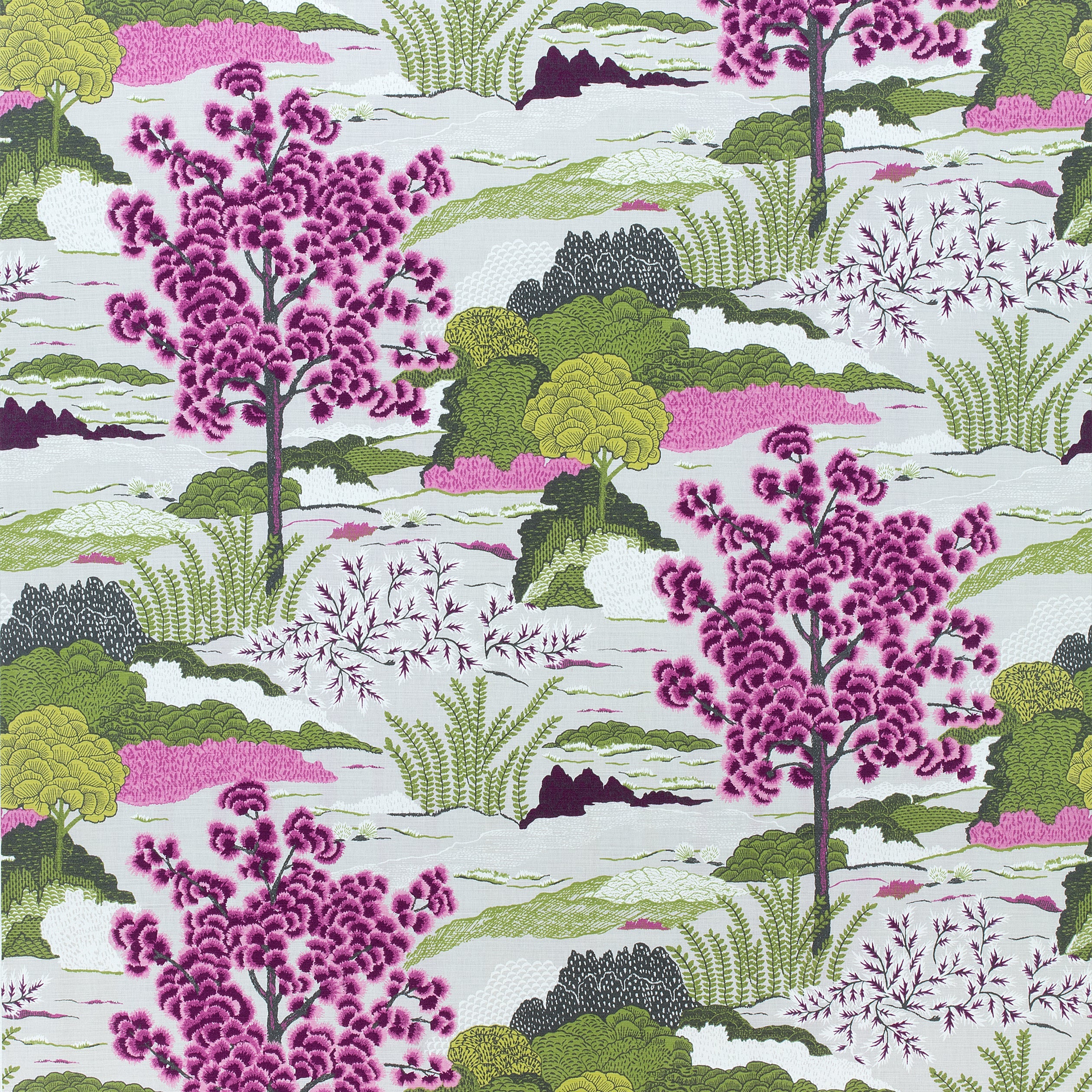 DAINTREE - Fuchsia