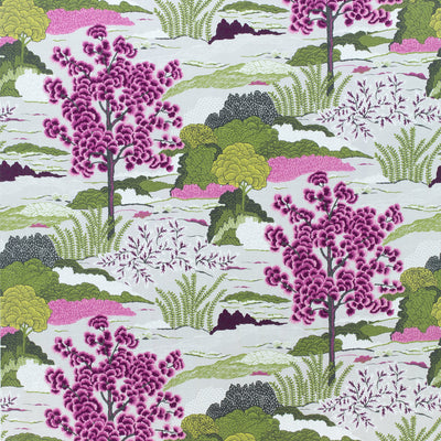 DAINTREE - Fuchsia