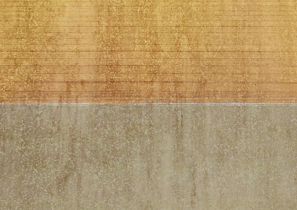 landscapes | FN0503 | Naturae Collection