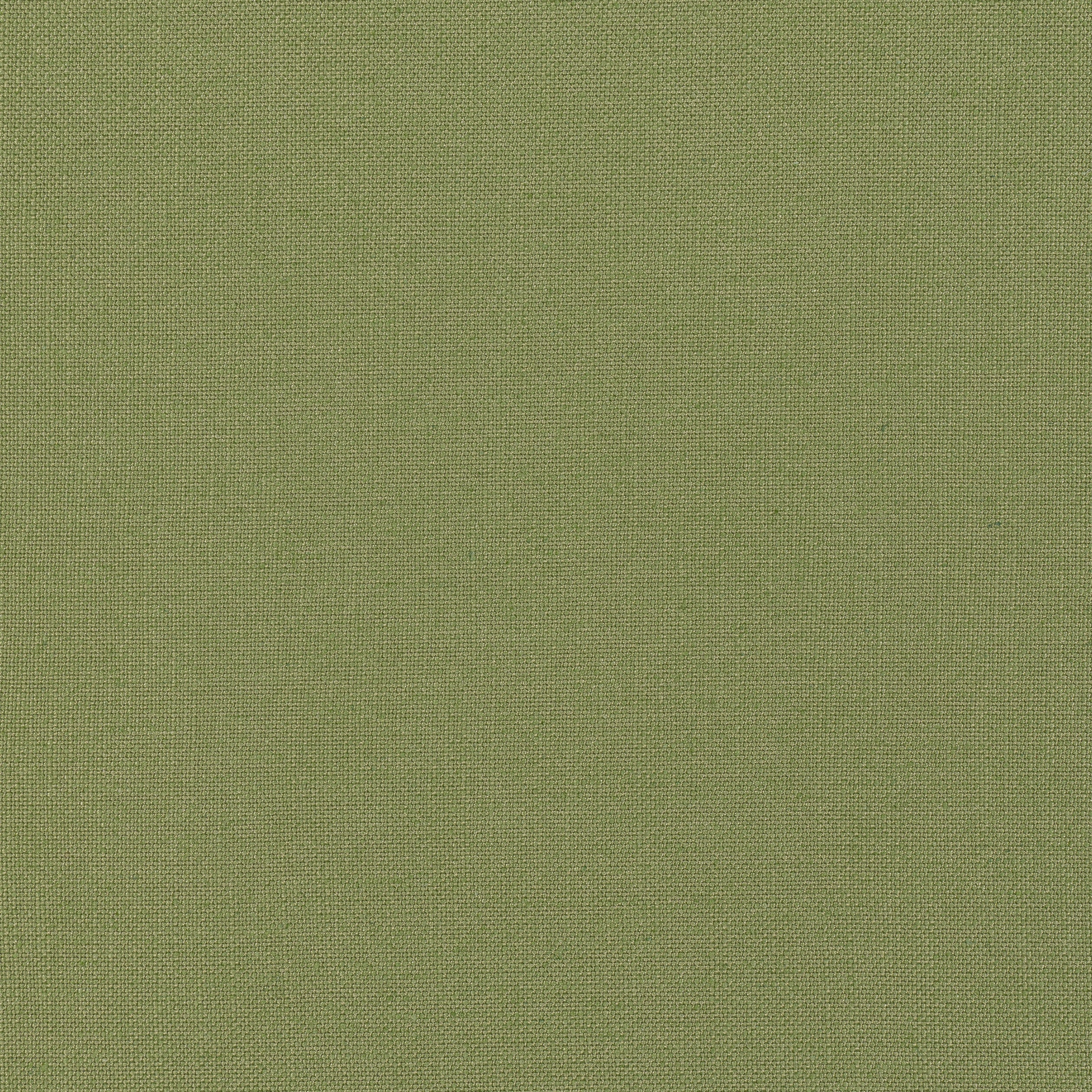PALISADE LINEN - Olive