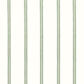 TANDEM STRIPE - Aloe