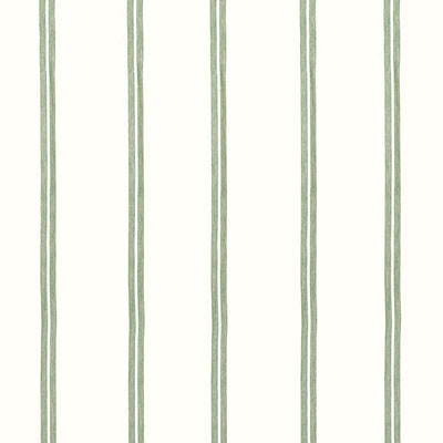 TANDEM STRIPE - Aloe