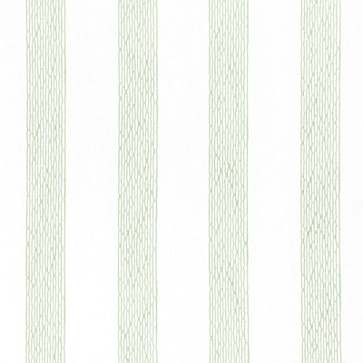 CYPRESS STRIPE - Aloe