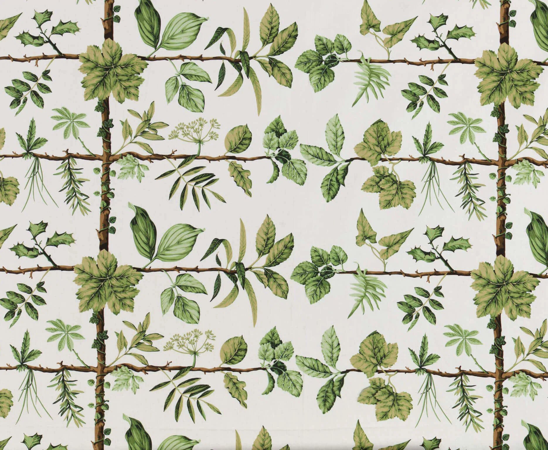 Wallpaper espalier Prairie - Dessins Signatures
